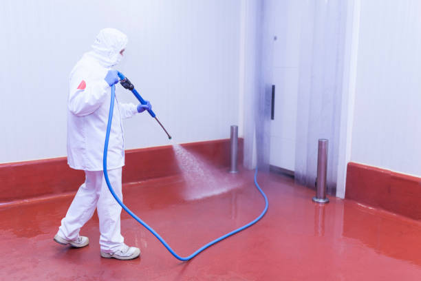 Best Dumpster Area Cleaning  in New Fairview, TX