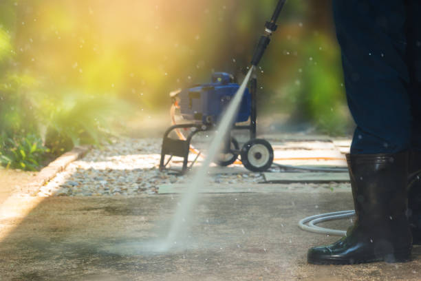 Best Animal Enclosure Cleaning  in New Fairview, TX